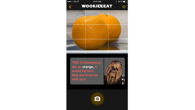 Illustration for article titled ‘Star Wars’ Fans Rejoice! This New App Lets You Take Pictures Of Objects In Your Home And Tells You If Chewbacca Would Die If He Ate Them